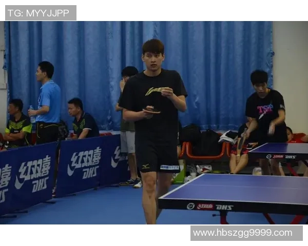 武汉乒乓球队实力分析与表现评估的全面研究报告